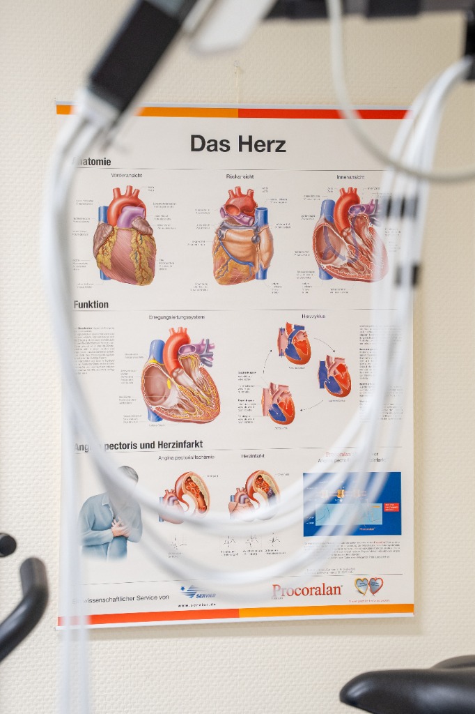 Anatomische Darstellung des Herzens